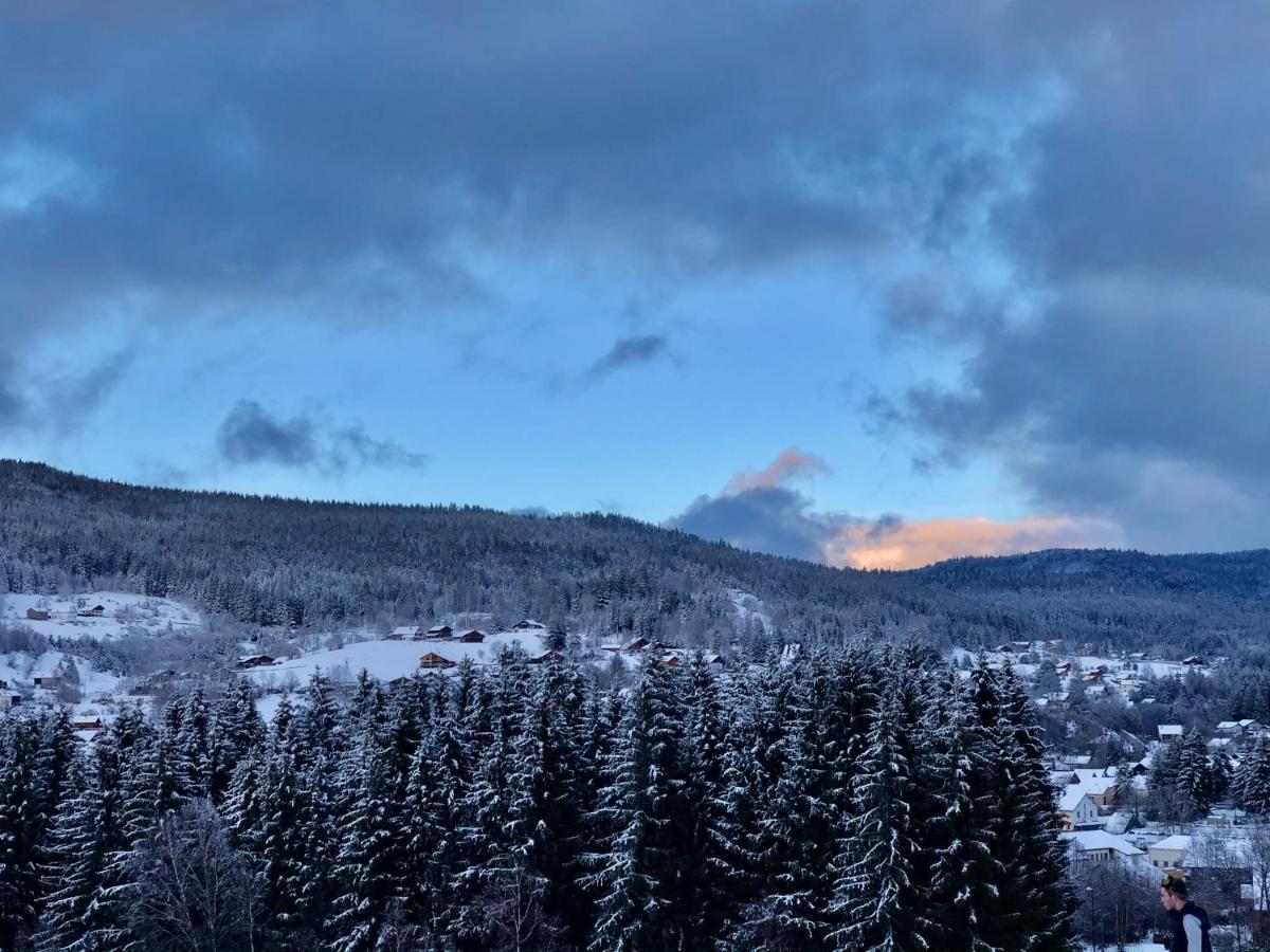 Le Bois Des Neiges Charmant Chalet Authentique A 5 Mn De Gerardmer Xonrupt-Longemer Buitenkant foto